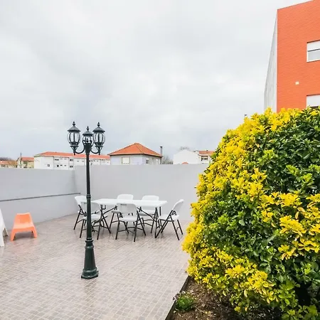 A Francos Artist Painting Appartement